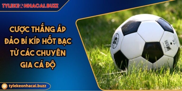 Cược Thắng Áp Đảo Bí Kíp Hốt Bạc Từ Các Chuyên Gia Cá Độ