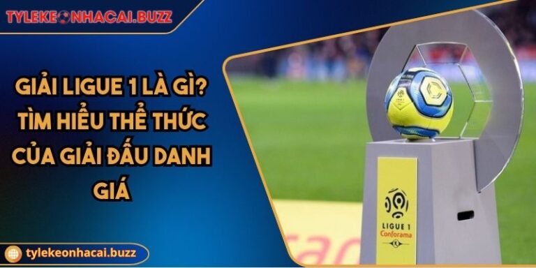 Giải Ligue 1 Là Gì? Tìm Hiểu Thể Thức Của Giải Đấu Danh Giá