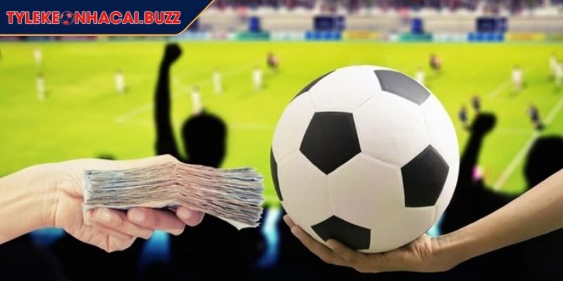 Giải vô địch bóng đá thế giới là gì điểm danh kỷ lục