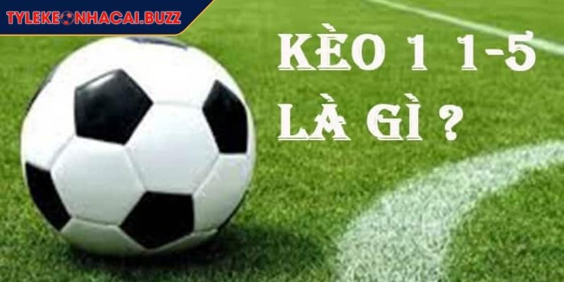 Kèo Chấp 1.5 Trái - Cách Chơi Và Bí Quyết Bắt Kèo Từ Cao Thủ 1 Cách đọc kèo chấp 1.5 trái
