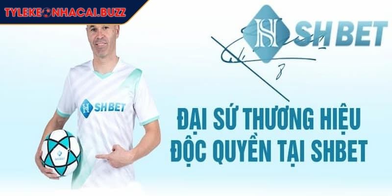 Giới thiệu về sự ra đời của nền tảng SHBET 
