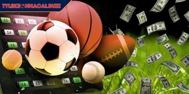 So Sánh Tỷ Lệ Cược Chìa Khóa Mở Cánh Cửa Thành Công 2 So sánh tỷ lệ cược săn lùng kèo ngon ăn