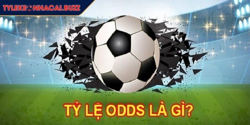 Tỷ Lệ Odds Là Gì Bí Mật Thành Công Cá Cược Chuyên Nghiệp 1 Hiểu rõ tỷ lệ Odds là gì?