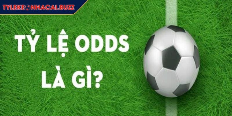 Tỷ Lệ Odds Là Gì Bí Mật Thành Công Cá Cược Chuyên Nghiệp 2 Tỷ lệ Odds là gì kèo châu âu chuẩn mực quốc tế trong cá cược