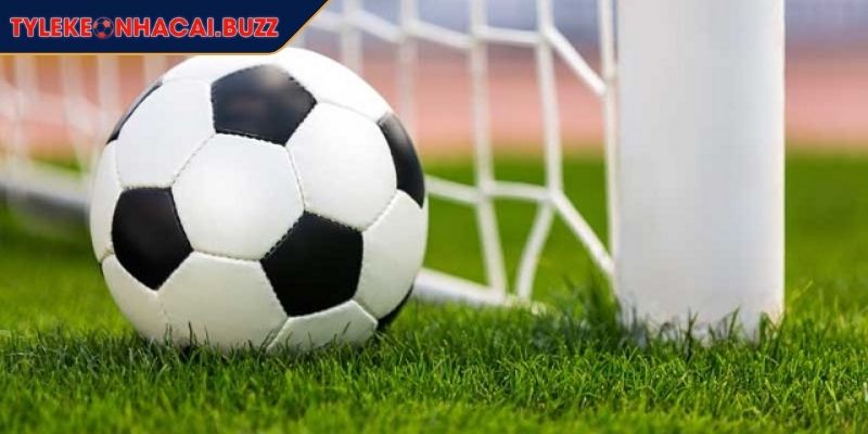 Tylekeonhacai Buzz🎖️Kèo Nhà Cái 5 | Tỷ Lệ Kèo Bóng Đá 88 19 Kèo rung dự đoán kết quả ngay trong thời gian trận đấu đang diễn ra