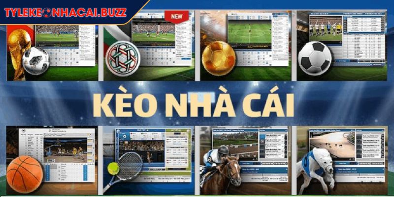 Tylekeonhacai Buzz🎖️Kèo Nhà Cái 5 | Tỷ Lệ Kèo Bóng Đá 88 22 Nền tảng cung cấp đầy đủ dữ liệu chuẩn cực kỳ khoa học, dễ nắm bắt